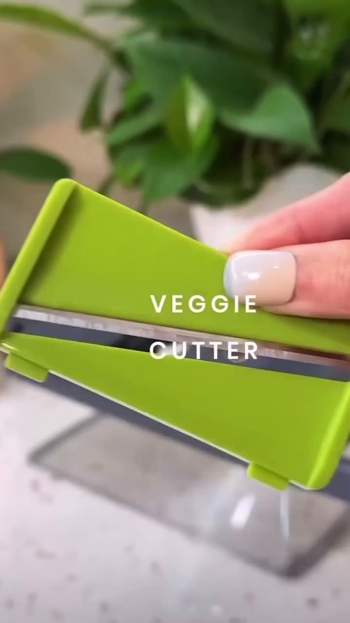Vegetable Chopper With Container